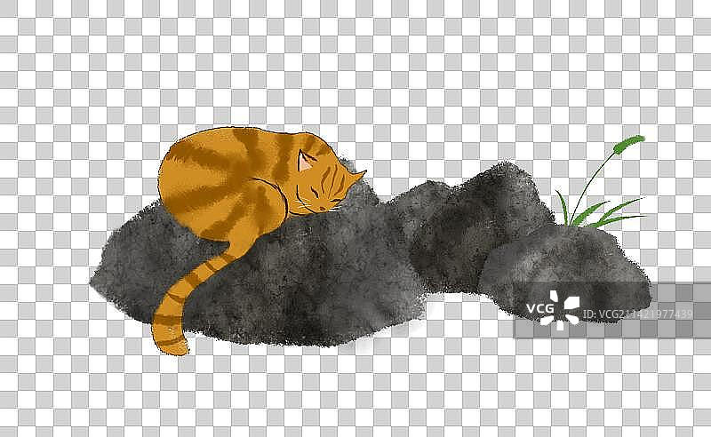 猫在石头上睡觉素材图片素材