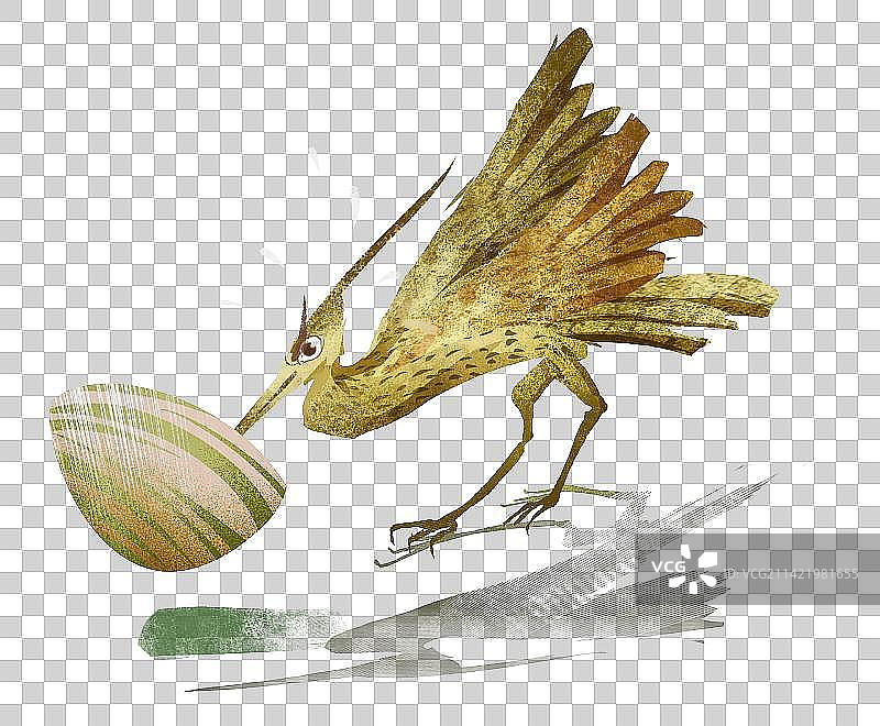 鹬蚌相争插画元素图片素材