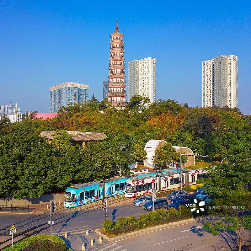 鲜花盛开时的广州有轨电车图片素材