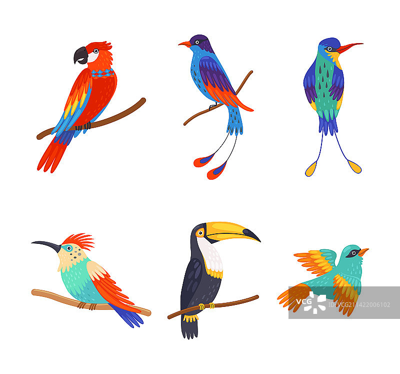 彩色鸟类卡通图案套装图片素材