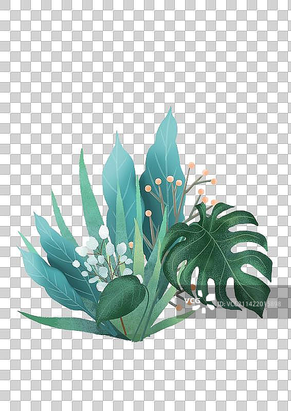 北欧风植物图片素材