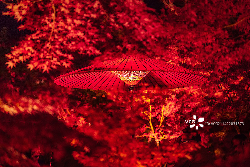 日本秋季永观堂夜枫，红叶下的红伞图片素材