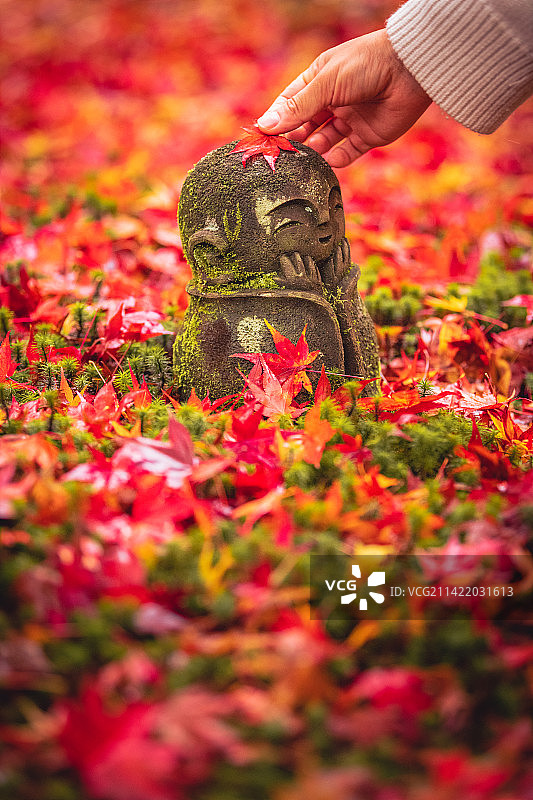 日本京都，秋季红叶，圆光寺庭院内的地藏小佛像图片素材