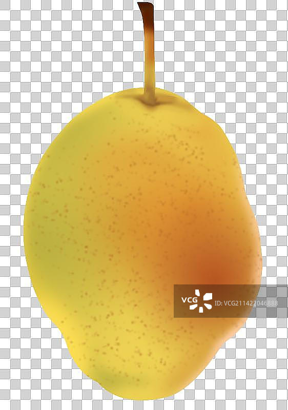 水果果实香梨卡通梨子插画图片素材