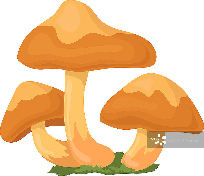 野生蘑菇卡通图标图片素材
