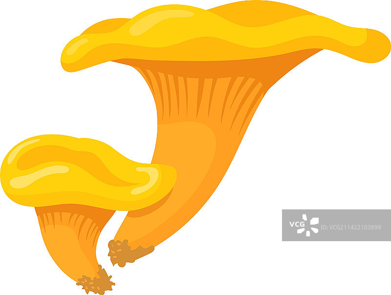 卡通鸡油菌野生植物图标图片素材