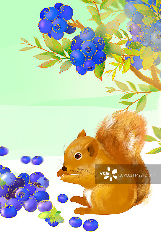 浆果蓝莓松鼠夏天营养美味有机健康天然无公害水果插画图片素材