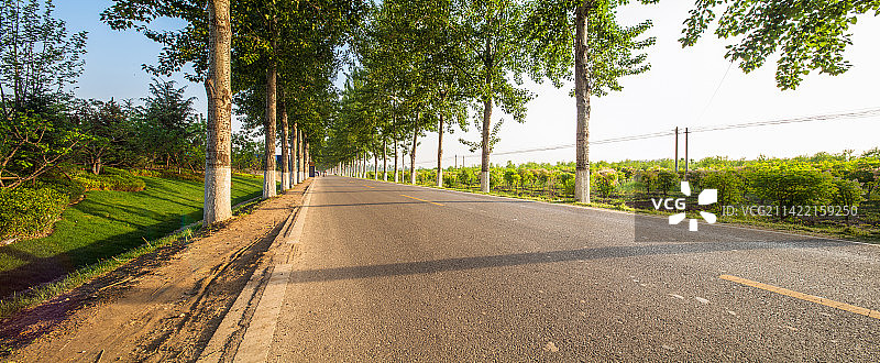 乡村公路图片素材