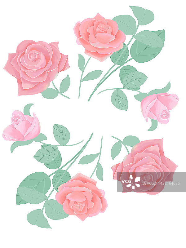 粉色玫瑰图片素材