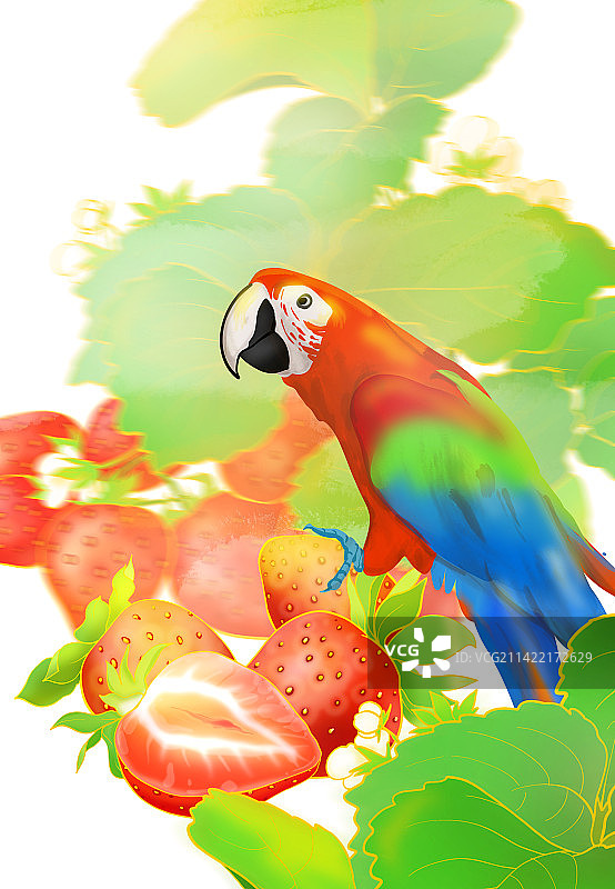 草莓浆果野生动物绿色食品营养健康维生素有机水果图片素材