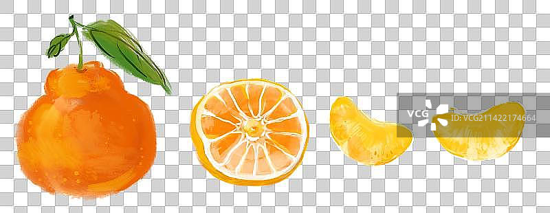 橘子橙子粑粑柑手绘插画设计元素营养美味健康水果元素图片素材