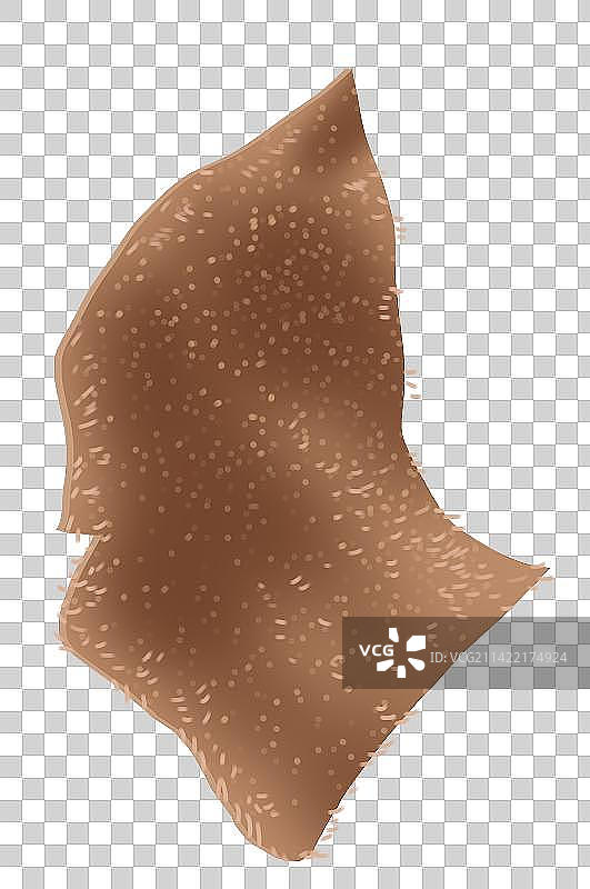 四川川菜火锅重庆辣味味道食材食物牛肚毛肚元素插画图片素材