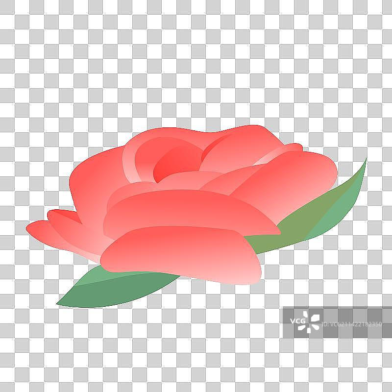 玫瑰花花朵扁平渐变插画元素图片素材
