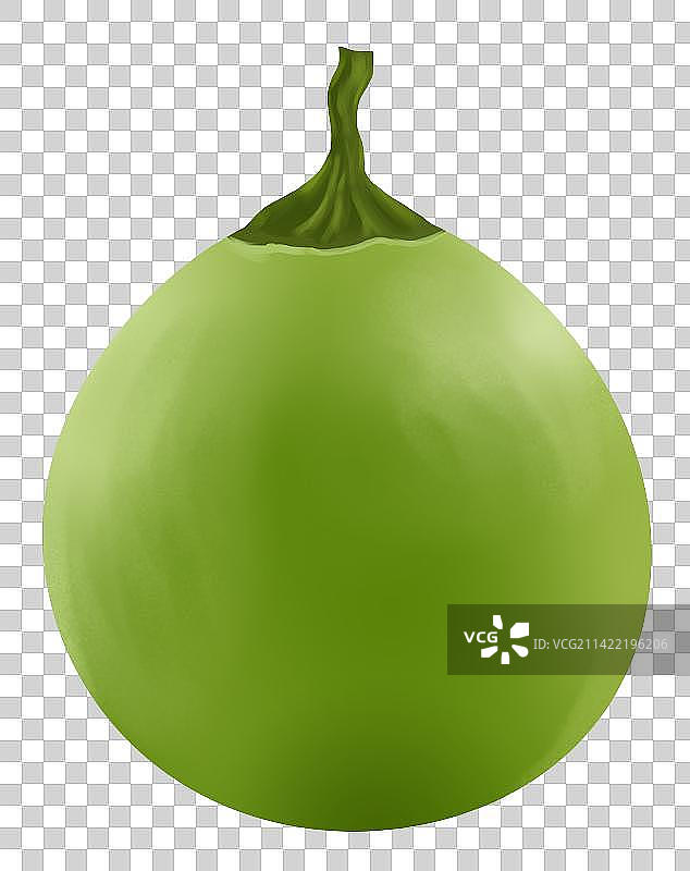 热带植物果实青椰子元素插画图片素材
