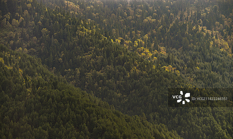 云雾中的森林山峰虎头山图片素材