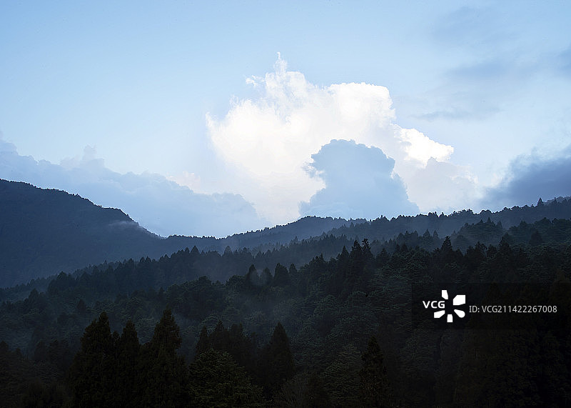 雾漫阿里山图片素材