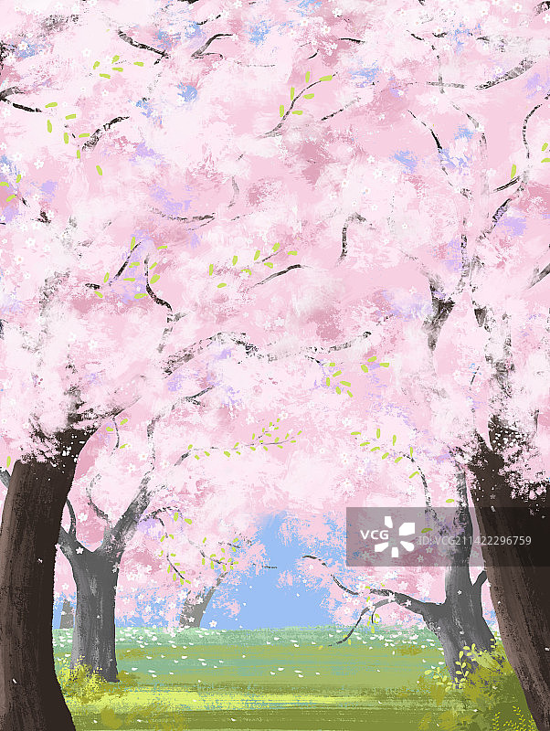 治愈系小清新插画春天盛开的樱花图片素材