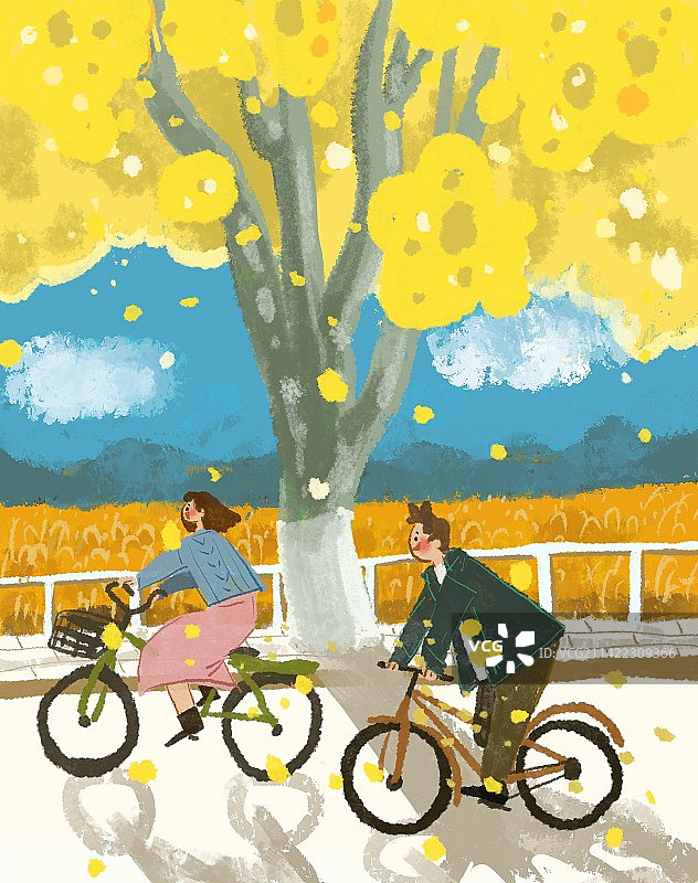 秋天金黄树下男生女生在成熟稻田旁骑自行车图片素材