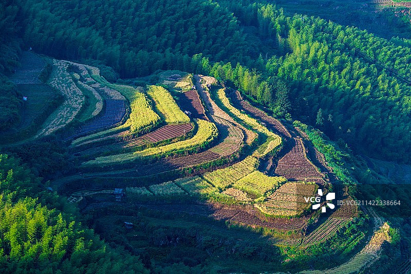遂昌南尖岩梯田，浙江遂昌图片素材
