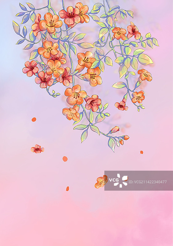 圆形框里的小暑节气凌霄花渐变背景插画图片素材