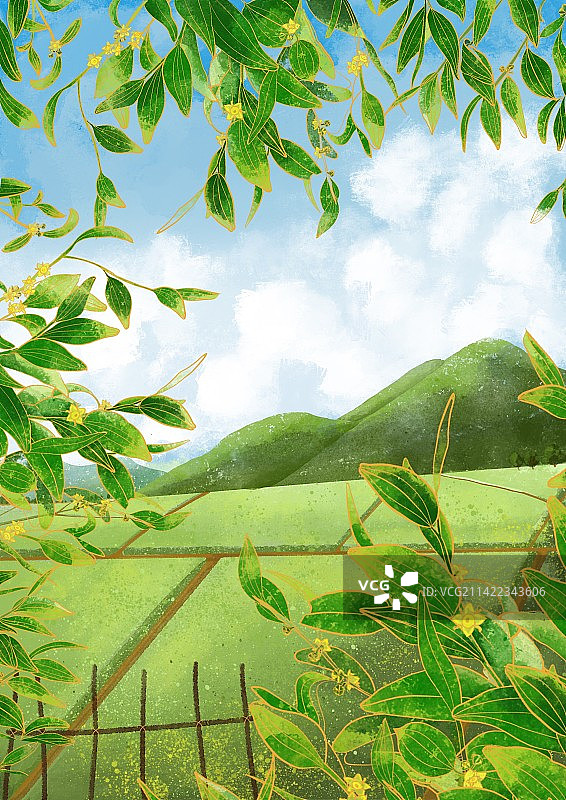 二十四节气 夏天 小满 枣花 田园海报 背景图片素材