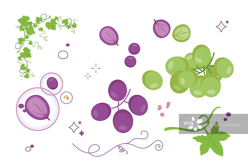 简约紫色阳光玫瑰葡萄葡萄籽切半图片素材