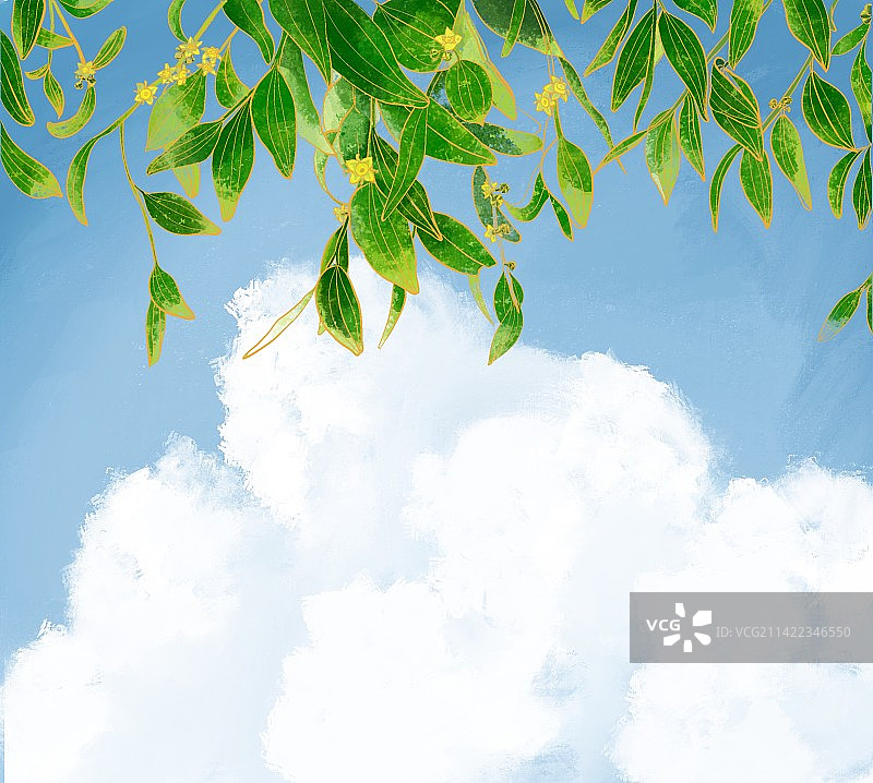 二十四节气 小满 立夏 夏天 枣花 枣树图片素材