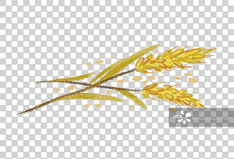 麦子稻穗粮食自然元素卡通手绘装饰插画图片素材