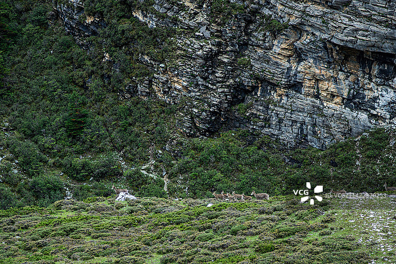四川川西稻城县亚丁国家级自然保护区风景区雪山特写图片素材