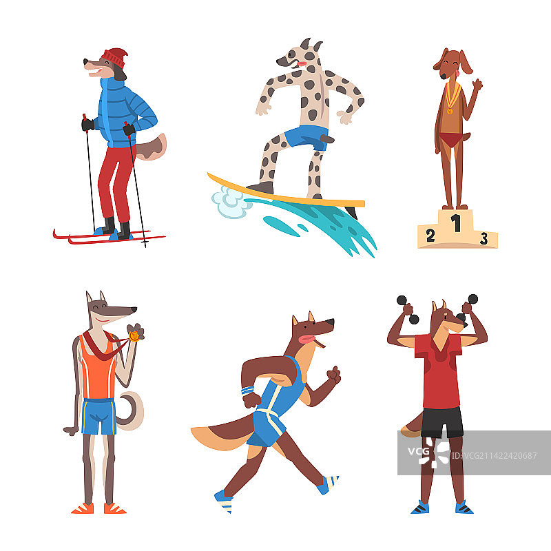 狗狗运动套装：滑雪、冲浪图片素材