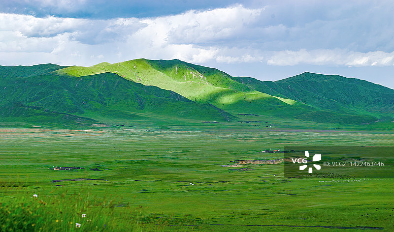 穹庐之下一望无际草原生态畜牧场牛羊天堂绿色苍天山脉起伏田园牧歌高山盆地青山环绕青草原四季如春峰峦叠翠图片素材
