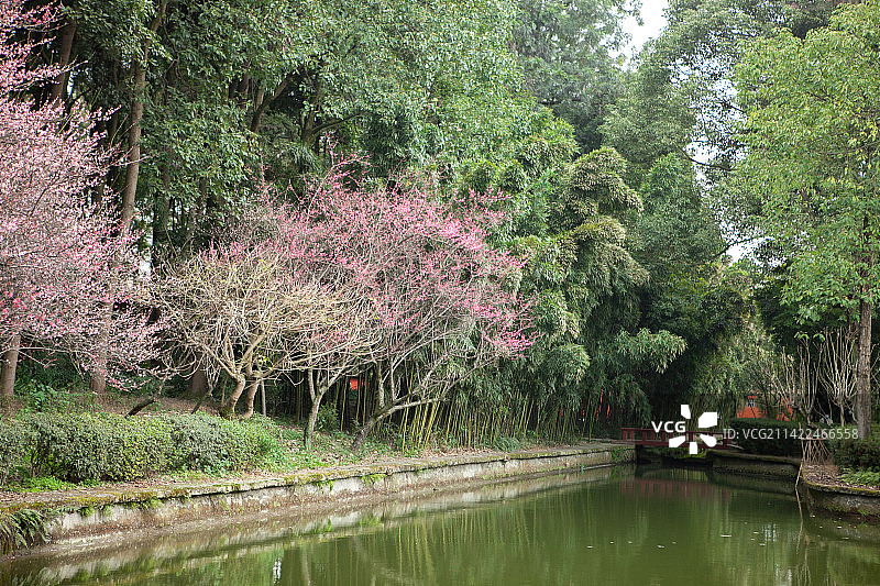 中国四川省成都市郫都区望丛祠，帝王陵冢，梅花林，成都市重点文物保护单位，四川省文物保护单位，图片素材