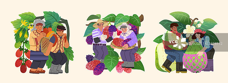 可愛人物采收与包装水果手繪插畫图片素材