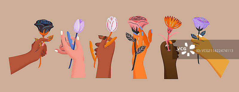不同肤色的手轻拿花朵素材集合图片素材