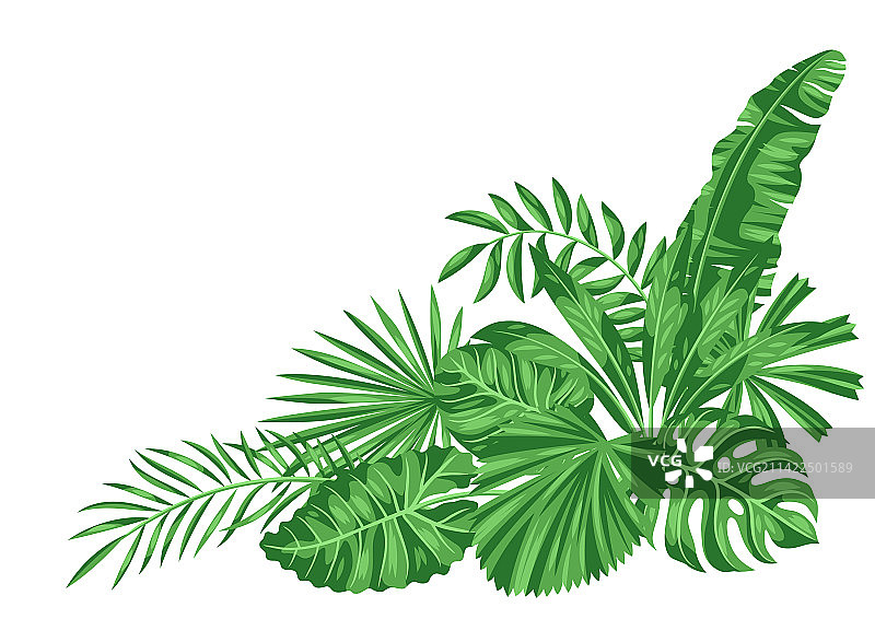 风格化棕榈叶背景图片素材