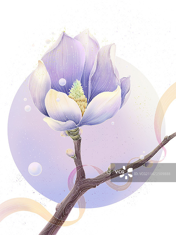 紫色国潮玉兰花图片素材