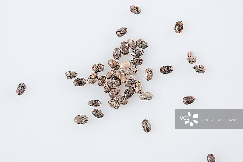 白底上的奇亚籽高清特写图片素材
