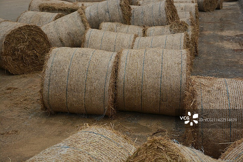 堆放的打成捆的稻草图片素材