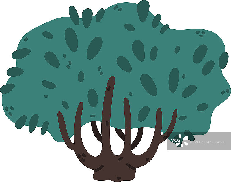 带分支茎的绿色灌木或灌木丛图片素材