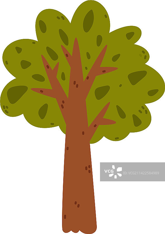 树干茂盛的绿冠树图片素材