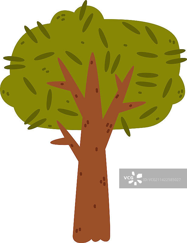 树干茂盛的绿冠树图片素材