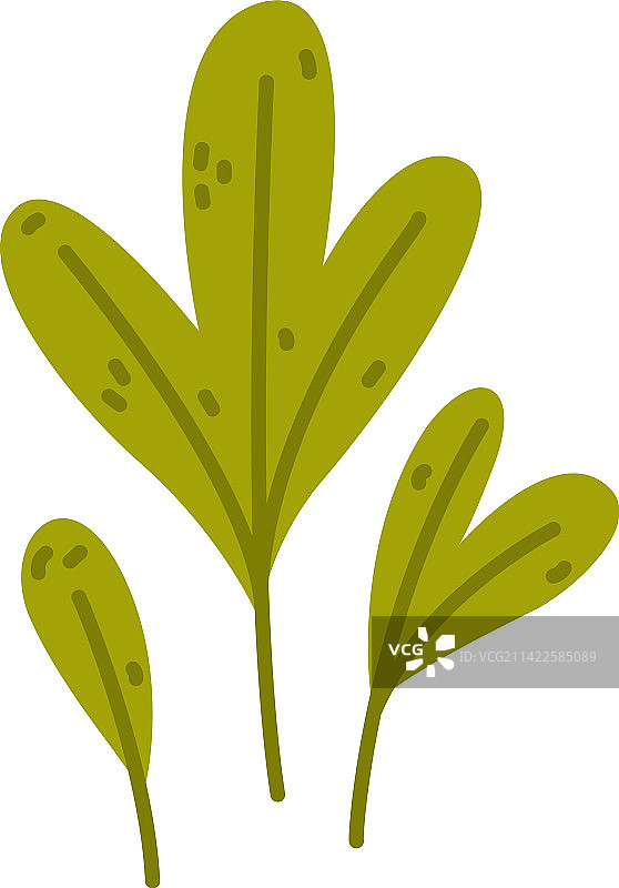 带绿叶的花卉树枝，作为可爱的树叶图片素材