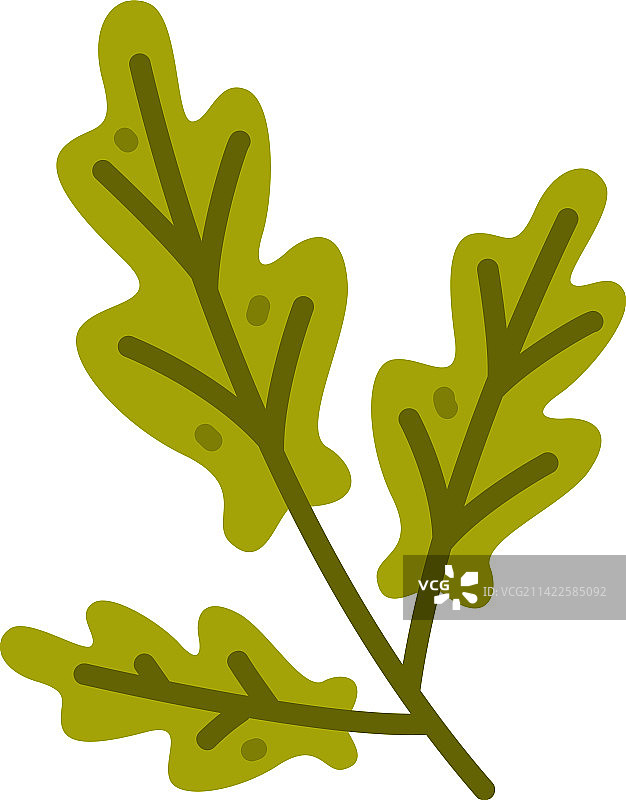 带绿叶的花卉树枝，作为可爱的树叶图片素材