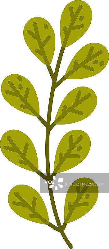 带绿叶的花卉树枝，作为可爱的树叶图片素材