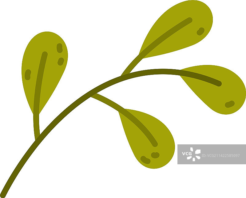 带绿叶的花卉树枝，作为可爱的树叶图片素材