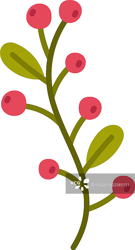 带浆果和树叶的花卉细枝可爱树叶图片素材