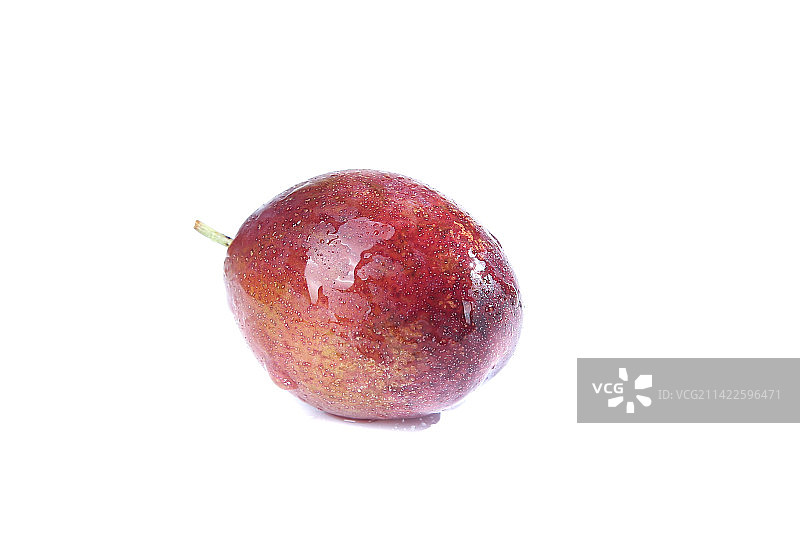 白底上的澳洲西梅图片素材