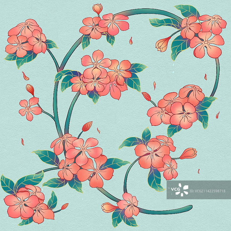 长春花图片素材