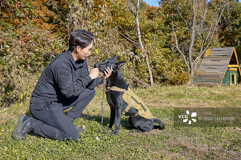 男人训练狗狗图片素材