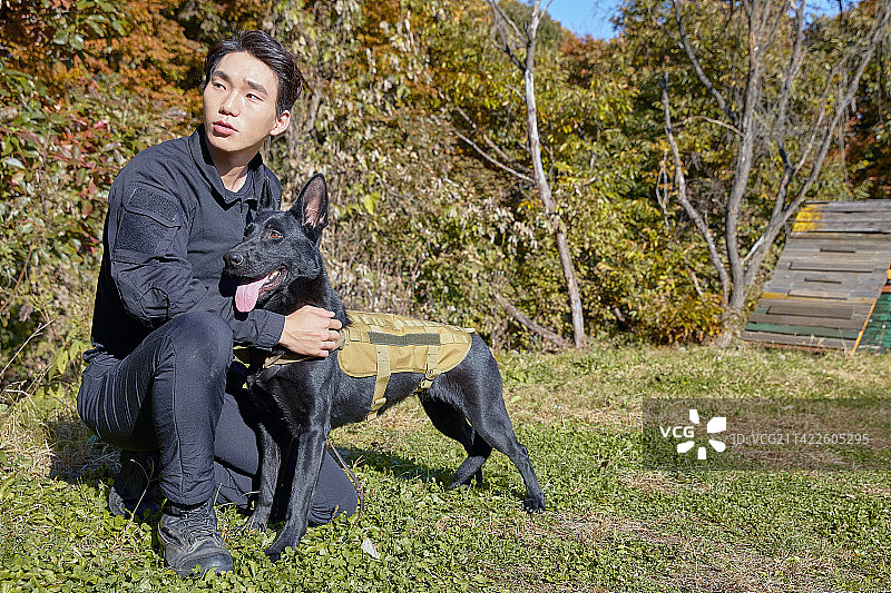 男人训练狗狗图片素材